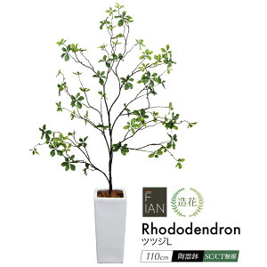 tFCNO[ hE_ccW ϗtA tFCN lHϗtA ^ G} FIAN ccWL 110cm lHA  G} ^ 픫t CeA  O[ CTG} L R j