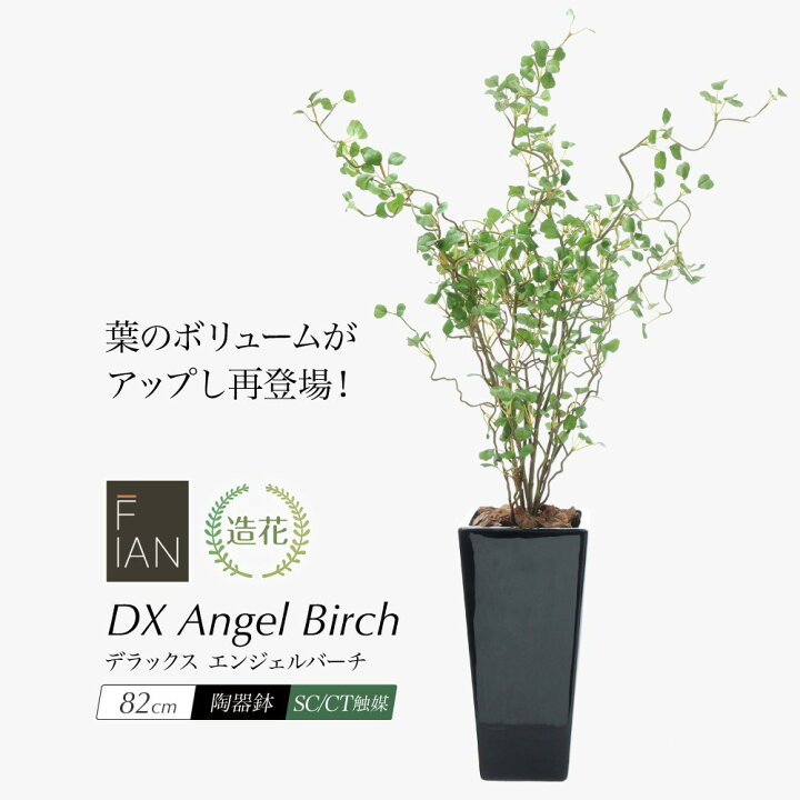 楽天市場 人工観葉植物 リアル フェイクグリーン 観葉植物 造花 光触媒 大型 Fian Dxエンジェルバーチ cm 陶器鉢付 インテリア おしゃれ フェイク グリーン Ct触媒 消臭 抗菌 お祝い Fd フェイクグリーンの神戸花物語