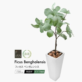 FIAN フィカス ベンガレンシス 130cm フェイク 大型 造花 人工観葉植物 リアル フェイクグリーン 光触媒 鉢植 トールポット インテリア おしゃれ CT触媒 人気