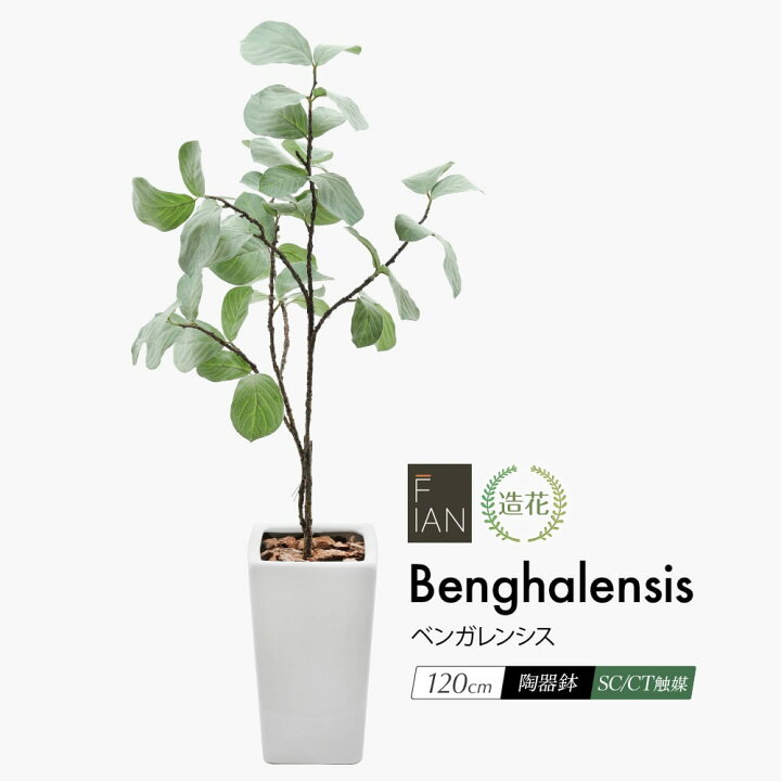 楽天市場】フェイクグリーン 観葉植物 フェイク 人工観葉植物 大型 