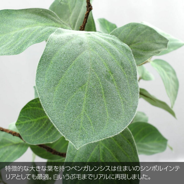 楽天市場】フェイクグリーン 観葉植物 フェイク 人工観葉植物 大型 