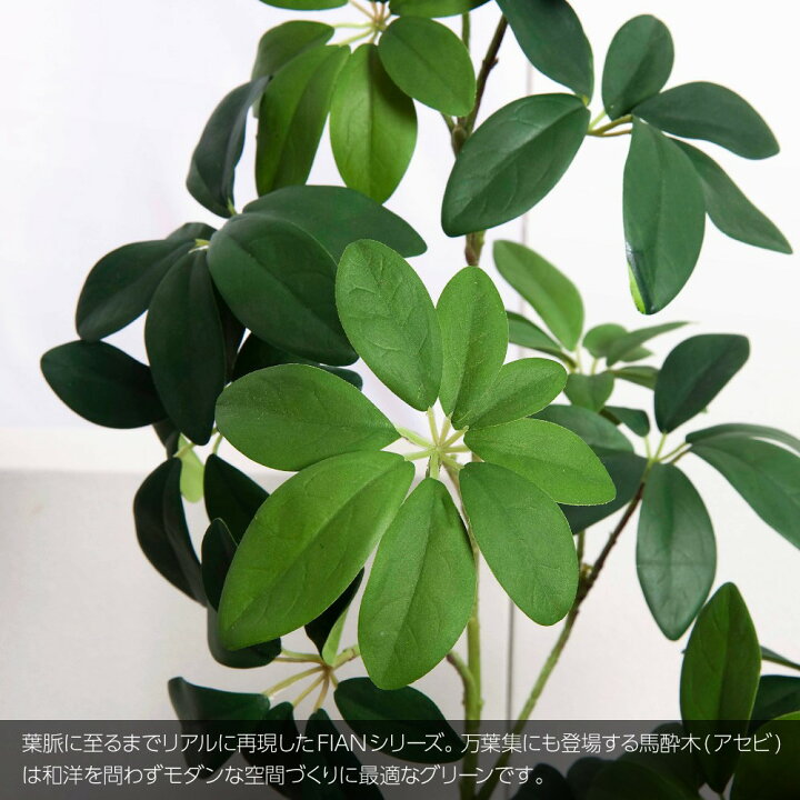楽天市場 観葉植物 造花 リアル フェイクグリーン 人工観葉植物 光触媒 アセビツリー 100cm 鉢植 馬酔木 インテリア おしゃれ フェイク グリーン Ct触媒 消臭 抗菌 お祝い フェイクグリーンの神戸花物語 楽天市場 観葉植物 造花 リアル フェイクグリーン 人工観葉植物 光触媒 アセビツリー 100cm 鉢植 馬酔木 インテリア おしゃれ フェイク グリーン Ct触媒 消臭 抗菌 お祝い フェイクグリーンの神戸花物語