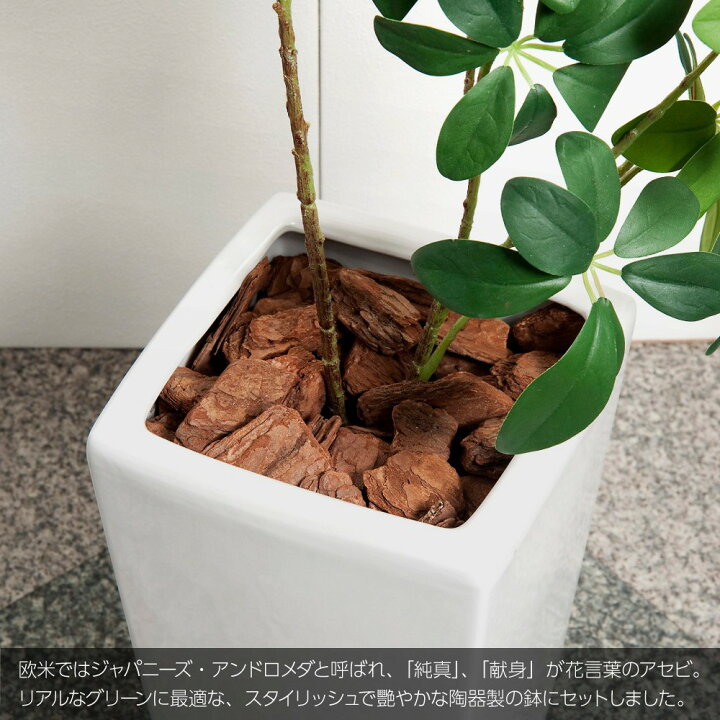 楽天市場 観葉植物 造花 リアル フェイクグリーン 人工観葉植物 光触媒 アセビツリー 100cm 鉢植 馬酔木 インテリア おしゃれ フェイク グリーン Ct触媒 消臭 抗菌 お祝い フェイクグリーンの神戸花物語 楽天市場 観葉植物 造花 リアル フェイクグリーン 人工観葉植物 光触媒 アセビツリー 100cm 鉢植 馬酔木 インテリア おしゃれ フェイク グリーン Ct触媒 消臭 抗菌 お祝い フェイクグリーンの神戸花物語