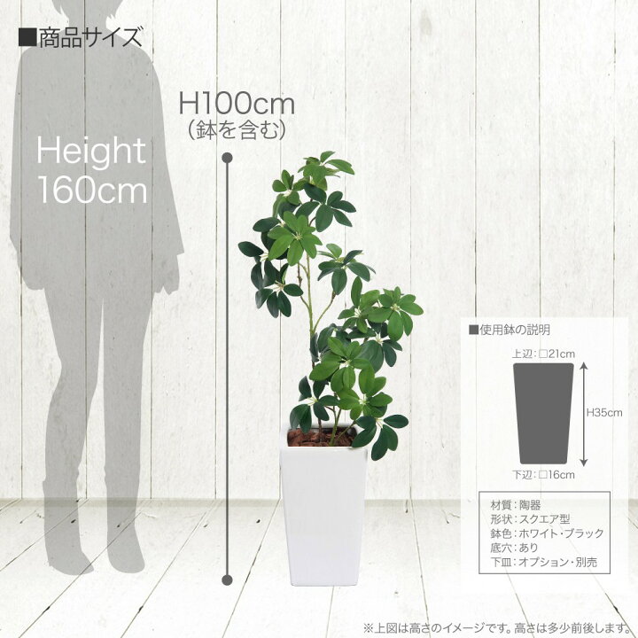 楽天市場 観葉植物 造花 リアル フェイクグリーン 人工観葉植物 光触媒 アセビツリー 100cm 鉢植 馬酔木 インテリア おしゃれ フェイク グリーン Ct触媒 消臭 抗菌 お祝い フェイクグリーンの神戸花物語 楽天市場 観葉植物 造花 リアル フェイクグリーン 人工観葉植物 光触媒 アセビツリー 100cm 鉢植 馬酔木 インテリア おしゃれ フェイク グリーン Ct触媒 消臭 抗菌 お祝い フェイクグリーンの神戸花物語