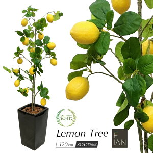 レモン 造花 観葉植物の人気商品 通販 価格比較 価格 Com