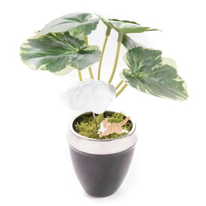 tFCNO[ lHϗtA tFCN  ~j   G} L ϗtA  Xe e[u CeA AJVA yy~A [jE [j[ CTG} v