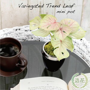 tFCNO[ lHϗtA tFCN  ~j   G} L ϗtA  Xe e[u CeA AJVA yy~A [jE [j[ CTG} v