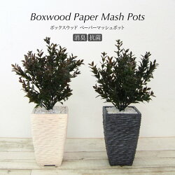 フェイクグリーン観葉植物造花ミニ人工観葉植物光触媒ボックスウッドペーパーマッシュポット33cmインテリアおしゃれフェイクグリーンCT触媒消臭抗菌お祝い