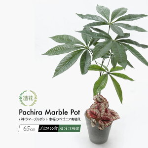 ~j pL}[u|bg K̃xSjA񂹐A 65cm A tFCNO[ lHϗtA  G} CeA  tFCN O[ CTG} L R j ̓ [nnf][whd]