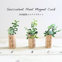 フェイクグリーン多肉植物コルクマグネットミニ多肉植物寄せ植え風マグネットつきコルクアレンジ8-10cm(観葉植物人工光触媒SC/CT触媒インテリアお祝い)