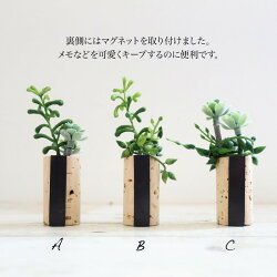 フェイクグリーン多肉植物コルクマグネットミニ多肉植物寄せ植え風マグネットつきコルクアレンジ8-10cm(観葉植物人工光触媒SC/CT触媒インテリアお祝い)