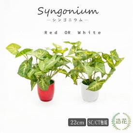 フェイクグリーン 観葉植物 フェイク リアル 人工観葉植物 卓上 ミニ 紅白シンゴニウム テーブルポット 18cm 造花 光触媒 おしゃれ CT触媒 プレゼント お祝い 母の日 [md][kd][rcp]