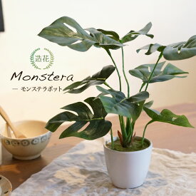 フェイクグリーン 観葉植物 フェイク 人工観葉植物 卓上 ミニ 小さい 光触媒 モンステラ テーブルポット 23cm CT触媒加工済 ミニ リアル 造花 インテリア 人工光触媒 消臭 雑貨 おしゃれ カフェ キッチン[fd] 人気