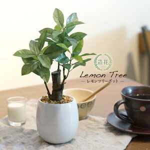 フェイクグリーン 卓上 ミニ 観葉植物 小型 人工観葉植物 小さい おしゃれ 光触媒 陶器 鉢 かわいい 造花 インテリア テーブル 消臭 抗菌 デスク オシャレ プレゼント ギフト リビング 鉢植え