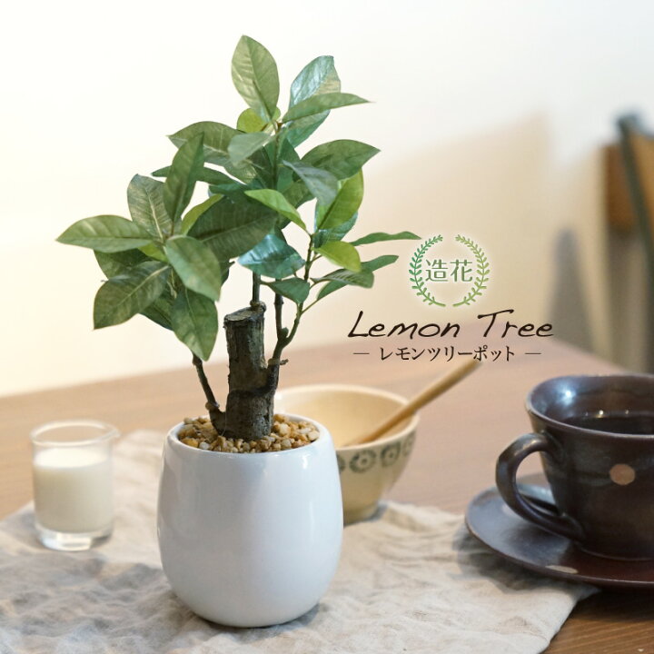 楽天市場】フェイクグリーン 卓上 ミニ 観葉植物 フェイク グリーン  