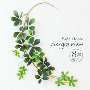 観葉植物 アウトレット 観葉植物の人気商品 通販 価格比較 価格 Com