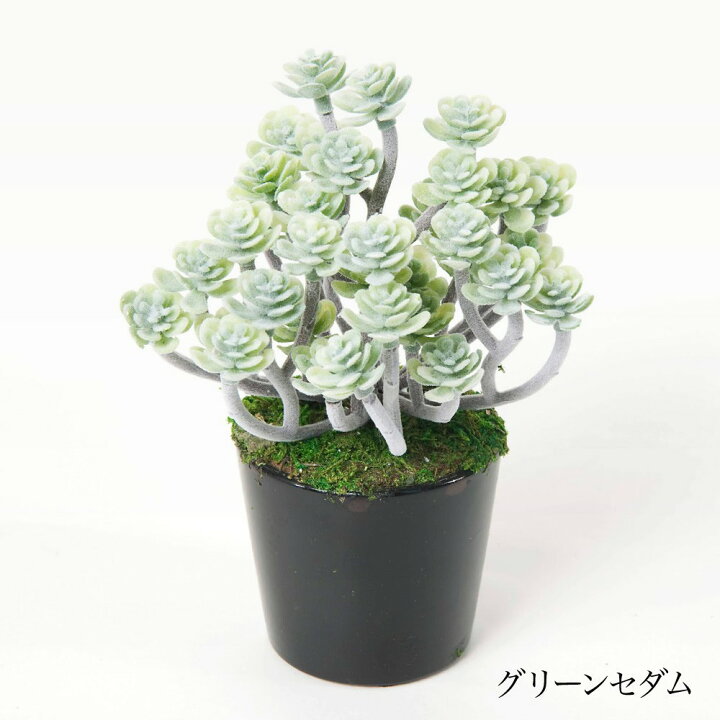 楽天市場】【アウトレット 訳あり】フェイクグリーン 観葉植物 