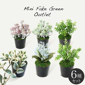 観葉植物 アウトレットの通販 価格比較 価格 Com 観葉植物 アウトレットの通販 価格比較 価格 Com