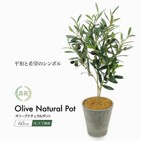 オリーブツリー ナチュラルポット 60cm 造花 リアル フェイクグリーン 人工観葉植物 光触媒 インテリア おしゃれ CT触媒 消臭 抗菌 お祝い 開店 開業祝い[fd] 人気