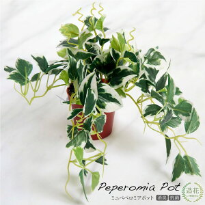 tFCNO[ ϗtA tFCN lHϗtA A  ~j yy~A|bg ϗtA  CeA  tFCN O[ CTG} G} L R j [rcp]