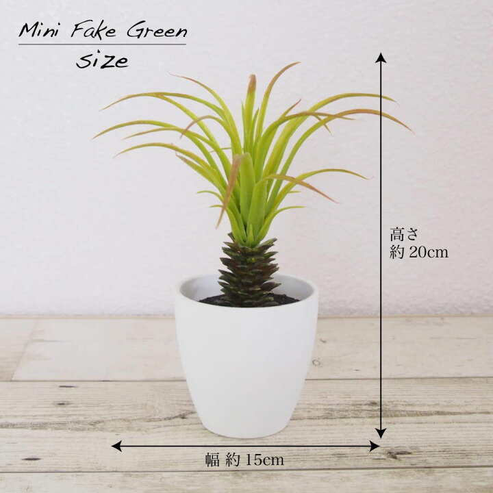 楽天市場】フェイクグリーン エアプランツ 造花 観葉植物 光触媒 人工 
