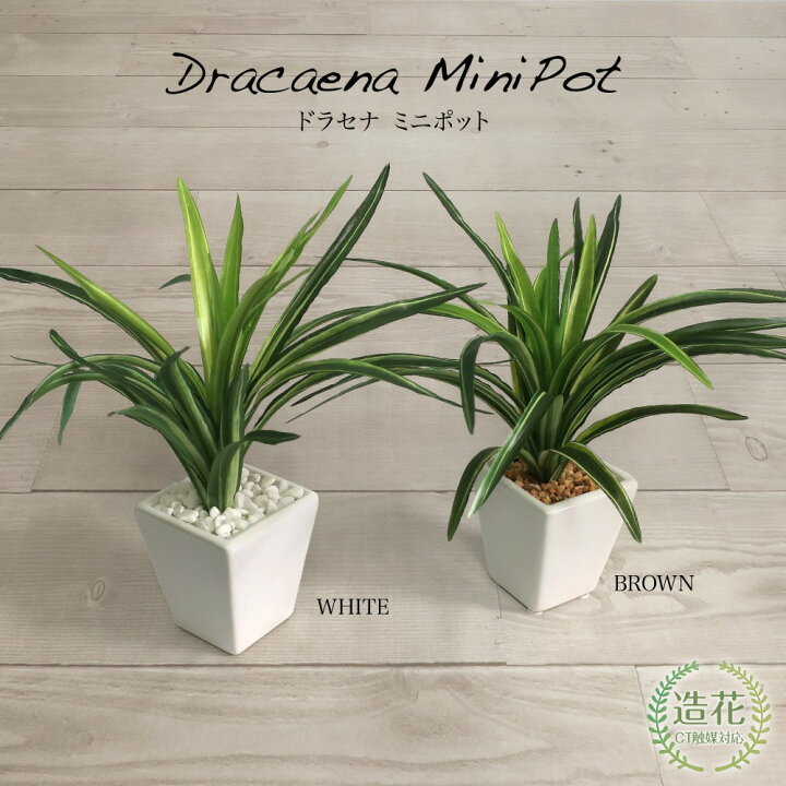 楽天市場】フェイクグリーン 観葉植物 フェイク 人工観葉植物 卓上 