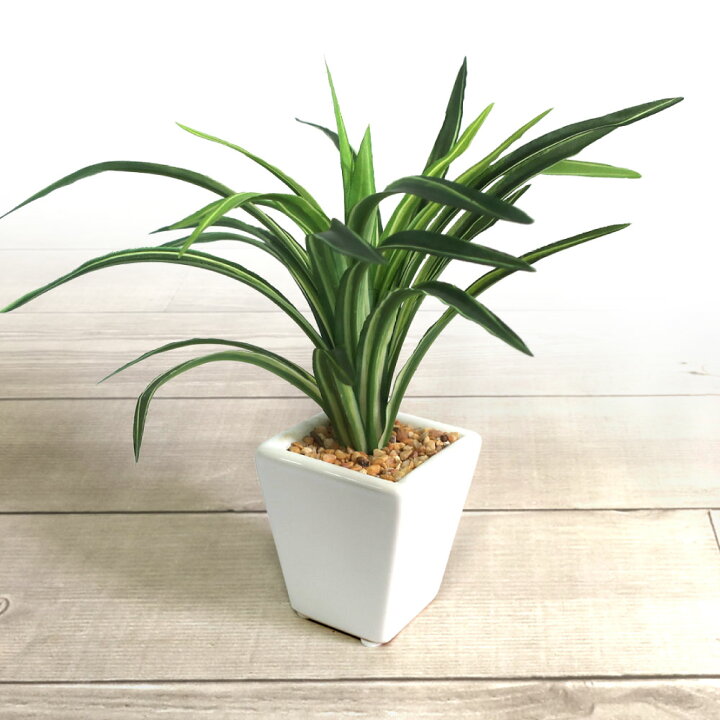 楽天市場】フェイクグリーン 観葉植物 フェイク 人工観葉植物 卓上 