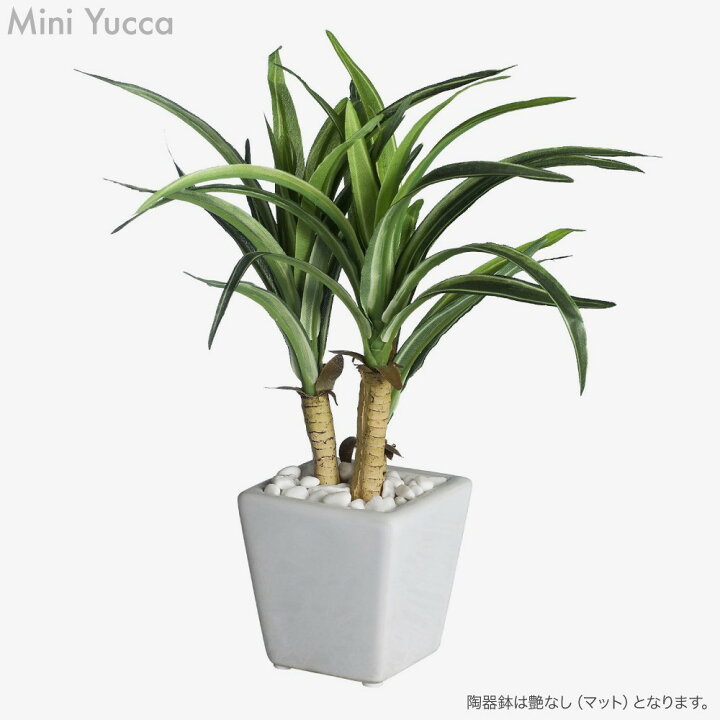 楽天市場】フェイクグリーン 観葉植物 フェイク 人工観葉植物 卓上 