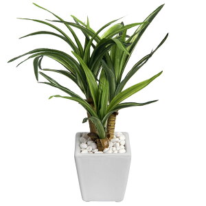 tFCNO[ ϗtA tFCN lHϗtA  ~j bJ  e[u TCY G} A A 24cm  픫 { SC CTG} CeA lC [rcp][nnf]