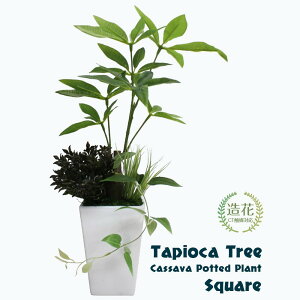 寄せ植え 鉢 おしゃれ 観葉植物の人気商品 通販 価格比較 価格 Com