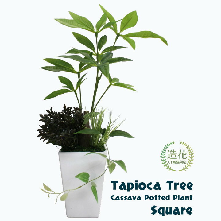 楽天市場 リアル フェイクグリーン 観葉植物 造花 ミニ タピオカツリー キャッサバ寄せ植えポット スクエア 陶器鉢 フェイク グリーン インテリア おしゃれ 光触媒 Ct触媒 プレゼント 贈り物 お祝い Fd フェイクグリーンの神戸花物語