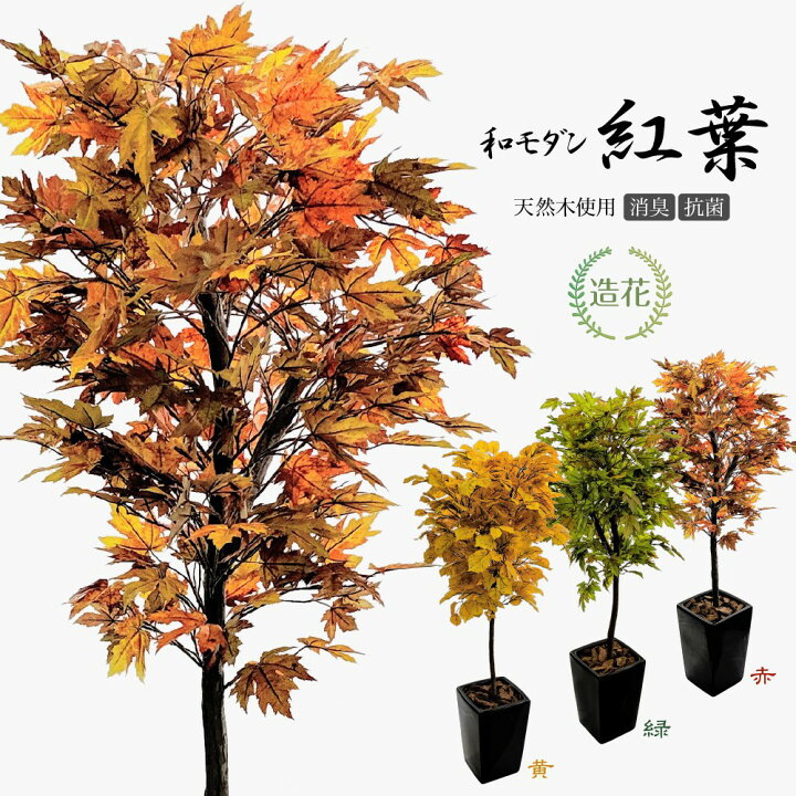 楽天市場 フェイクグリーン 大型 和モダン 紅葉 もみじ 150cm 鉢植 天然木幹使用 人工観葉植物 造花 光触媒 Ct触媒 フェイク グリーン 消臭 秋 装飾 フェイクグリーンの神戸花物語 楽天市場 フェイクグリーン 大型 和モダン 紅葉 もみじ 150cm 鉢植 天然木幹使用 人工観葉植物 造花 光触媒 Ct触媒 フェイク グリーン 消臭 秋 装飾 フェイクグリーンの神戸花物語