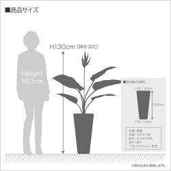 フェイクグリーン大型ストレリチアレギネ130cm鉢植極楽鳥花ストレチア【観葉植物造花光触媒SC/CT触媒人工観葉植物フェイクグリーン】