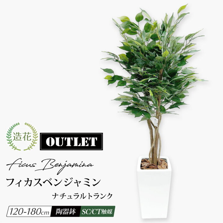 楽天市場】フェイクグリーン 観葉植物 ベンジャミン フェイク グリーン  