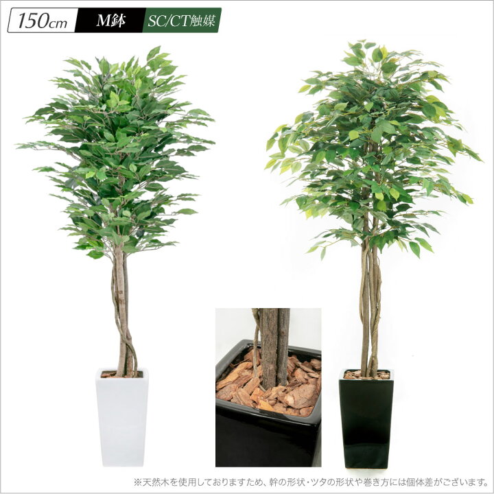 楽天市場】フェイクグリーン 観葉植物 ベンジャミン フェイク グリーン 