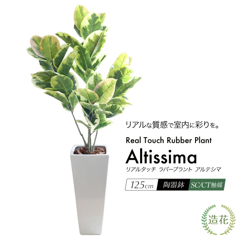 楽天市場】リアルタッチ ゴムの木 アルテシマ 125cm ラバープラント