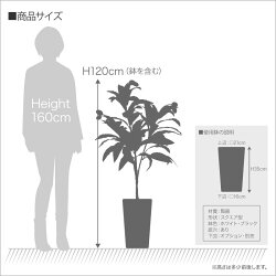 フェイクグリーン大型マンゴープラント120cm鉢植【人工観葉植物造花光触媒SC/CT触媒フェイクグリーン】