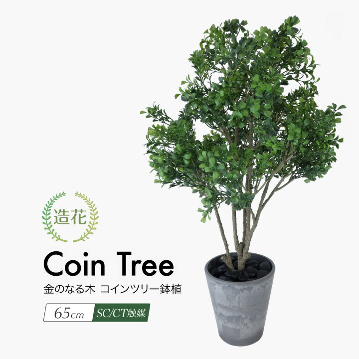 楽天市場 観葉植物 造花 リアル フェイクグリーン 人工観葉植物 光触媒 金のなる木 コインツリー 65cm 鉢植 インテリア おしゃれ フェイク グリーン Ct触媒 消臭 抗菌 お祝い Fd フェイクグリーンの神戸花物語