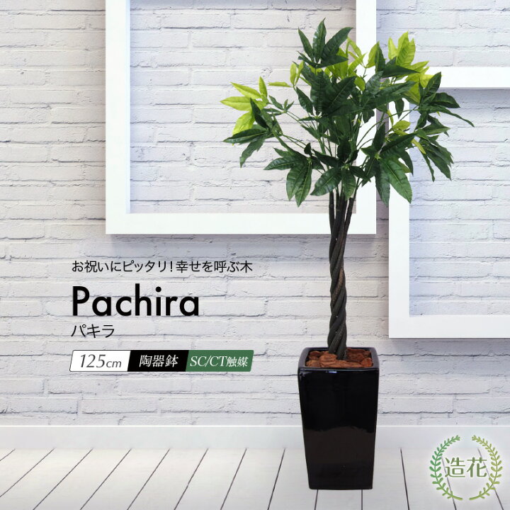 楽天市場 パキラ鉢植え 125cm 観葉植物 フェイク 大型 造花 人工観葉植物 リアル フェイクグリーン 光触媒 インテリア おしゃれ Ct触媒 消臭 抗菌 お祝い Fd フェイクグリーンの神戸花物語