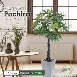 楽天市場】フェイクグリーン 人工観葉植物 ミックスファン スタンプ 