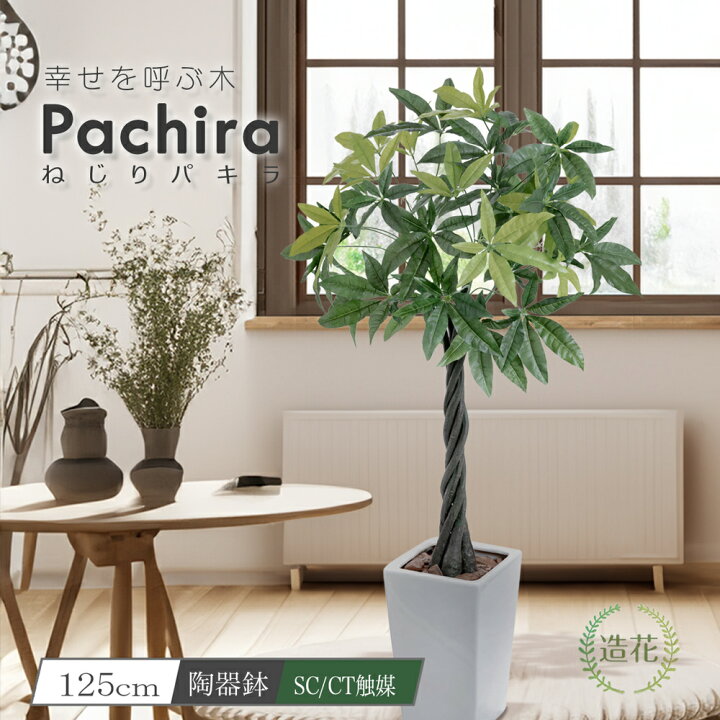 楽天市場】【マラソン限定セール 10%OFF】 フェイクグリーン 人工観葉  