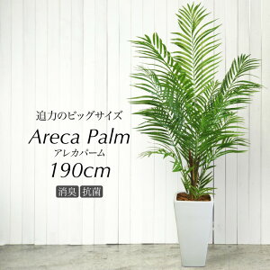 観葉植物 人工観葉植物 大型の人気商品 通販 価格比較 価格 Com