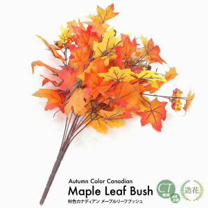 HFJifBA [v[tubV 50cm tFCNO[ ϗtA  lHϗtA G} tFCN O[ CeA CTG} fBXvC  [rcp]