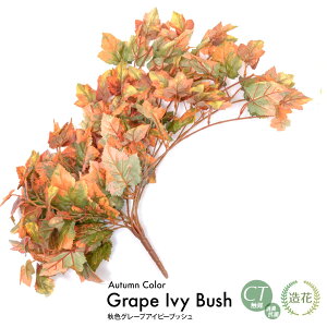 tFCNO[ } HFO[vACr[ubV O[ECG[ 60cm ϗtA  lHϗtA G} tFCN O[ CeA CTG} fBXvC  [rcp]