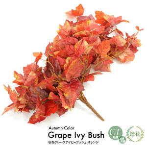 HFO[vACr[ubV IW 60cm tFCNO[ ϗtA  lHϗtA G} tFCN O[ CeA CTG} fBXvC  [rcp]