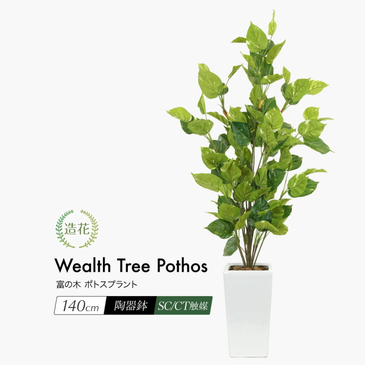 楽天市場 人工観葉植物 リアル フェイクグリーン 観葉植物 造花 光触媒 大型 富の樹 ポトスプラント 140cm 鉢植 陶器鉢付 インテリア おしゃれ フェイク グリーン Ct触媒 消臭 抗菌 お祝い フェイクグリーンの神戸花物語