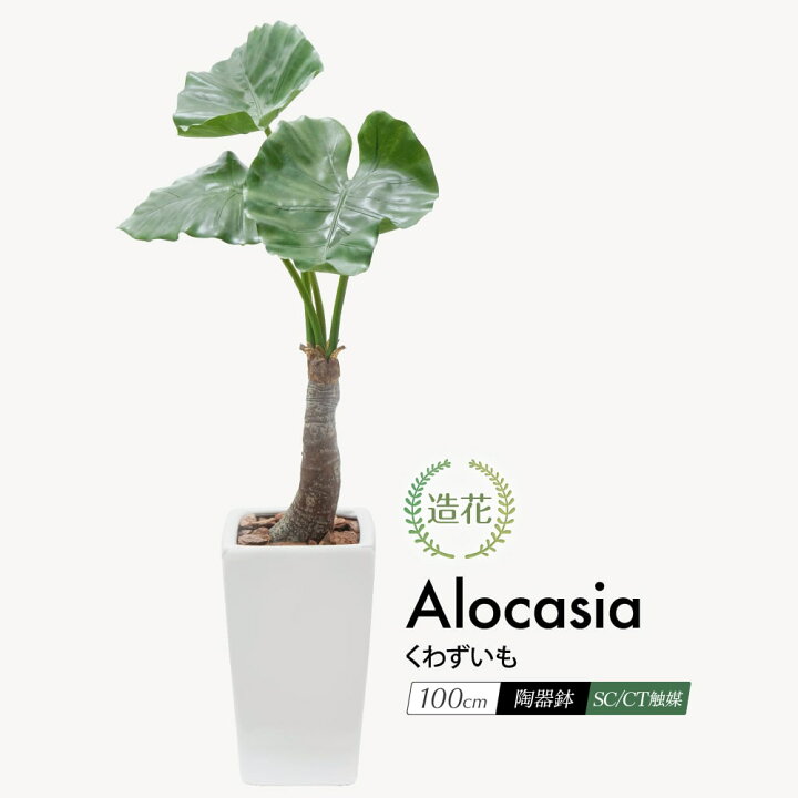 楽天市場】【楽天スーパーSALE 20%OFF】フェイクグリーン 観葉植物 