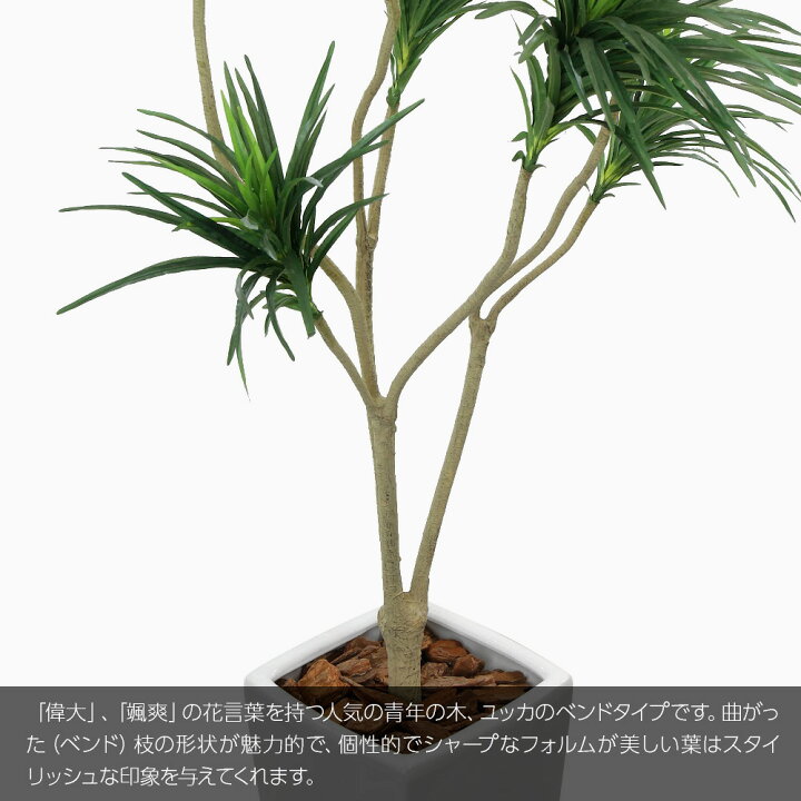 楽天市場 人工観葉植物 リアル フェイクグリーン 観葉植物 造花 光触媒 招福ユッカ ベンド 160cm 鉢植 フェイク グリーン インテリア おしゃれ Ct触媒 お祝い フェイクグリーンの神戸花物語
