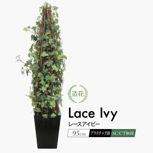 tFCNO[ ϗtA tFCN lHϗtA A  [XACr[ 95cm A CTG}H  c^ CeA G} [rcp]