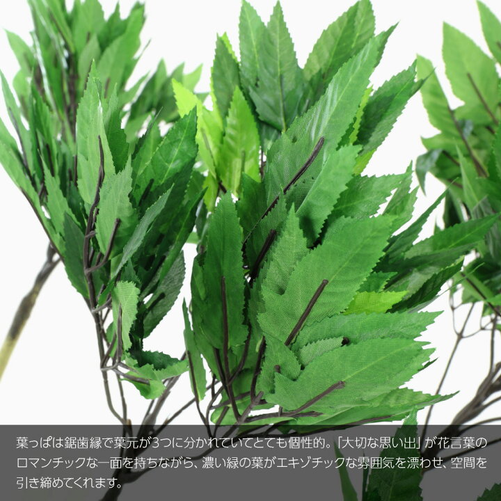 楽天市場 Off セール ポリシャス パニキュラータ 170cm 人工観葉植物 リアル フェイクグリーン 造花 光触媒 鉢植 フェイク グリーン インテリア おしゃれ Ct触媒 お祝い フェイクグリーンの神戸花物語